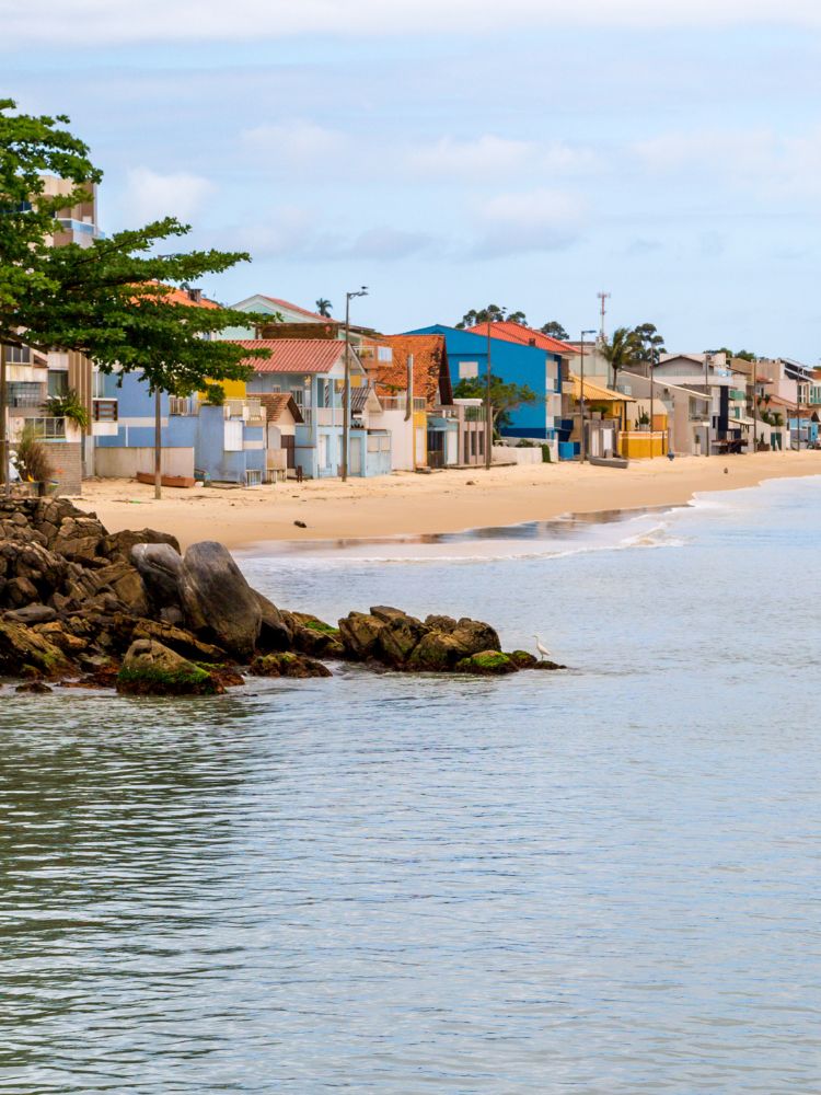 Sobre Bombas Bombinhas (5)
